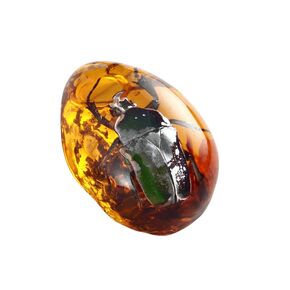 Amber Fossils and Insect Samples Stone Family Decoration Crystal Specimen Pendant for Collection,Science Education (9)
