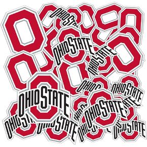Desert Cactus Ohio State University Sticker OSU Buckeyes Stickers Vinyl Decals Laptop Water Bottle Car Scrapbook T1 (Type 1-1)