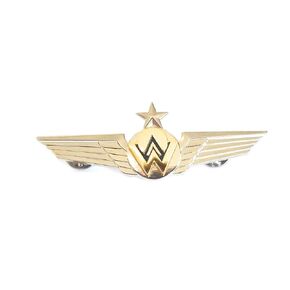 America West Airlines Pilot Wings
