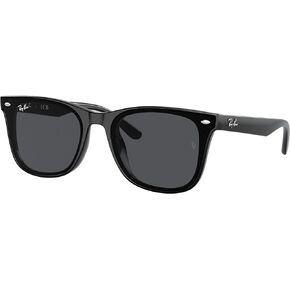 Ray-Ban RB4420 Square Sunglasses for Men for Women + BUNDLE With Designer iWear Complimentary Eyewear Kit