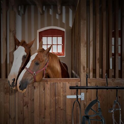 EATAKWARD 2 PCS Tack Rack with Swivel Hooks, 5 Hook Portable Bridle Rack for Horse, Tack Holder for Stall and Fence, Horse Tack Room Organizer for Stall Room Trailer Accessories (Black in Saudi Arabia