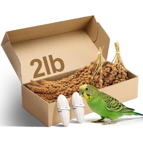 MEWTOGO Spray Millet & Cuttlebone Bird Treats Set - 1lb Hand Selected Golden Millet Treats for Parakeets Cockatiel Lovebirds Canaries Finches, Energy & Calcium Boost in Saudi Arabia