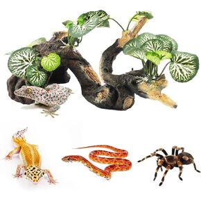 PINVNBY Branches for Reptiles,Crested Gecko Resin Climbing Tree Branch with Hideout Cave Bearded Dragon Tank Accessories Lizard Terrarium Habitat Plant Decorations for Snake Gecko Spider Frog(Green) in Kuwait