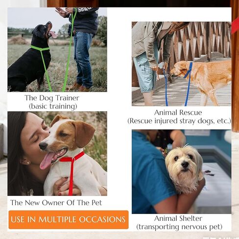 20 قطعة من مقود الكلاب المنزلق، مقاود قصيرة بطول 6 أقدام مع حلقة على شكل حرف O ملونة من النايلون للكلاب، مقاود انزلاقية للكلاب الكبيرة، مقاود سحب للكلاب والقطط وتدريب المشي والجري والإنقاذ ومأوى للعناية بالحيوانات in Kuwait