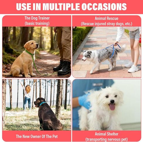 20 قطعة من مقود الكلاب المنزلق، مقاود قصيرة بطول 6 أقدام مع حلقة على شكل حرف O ملونة من النايلون للكلاب، مقاود انزلاقية للكلاب الكبيرة، مقاود سحب للكلاب والقطط وتدريب المشي والجري والإنقاذ ومأوى للعناية بالحيوانات in Kuwait