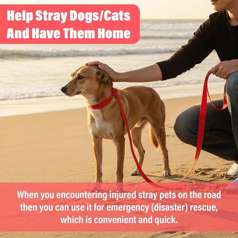 20 قطعة من مقود الكلاب المنزلق، مقاود قصيرة بطول 6 أقدام مع حلقة على شكل حرف O ملونة من النايلون للكلاب، مقاود انزلاقية للكلاب الكبيرة، مقاود سحب للكلاب والقطط وتدريب المشي والجري والإنقاذ ومأوى للعناية بالحيوانات in Kuwait