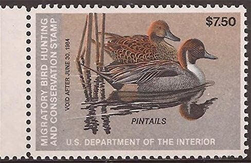 ختم أمريكي 1983 $7.50 ختم البط Pintails MNH Scott #RW50 in Saudi Arabia