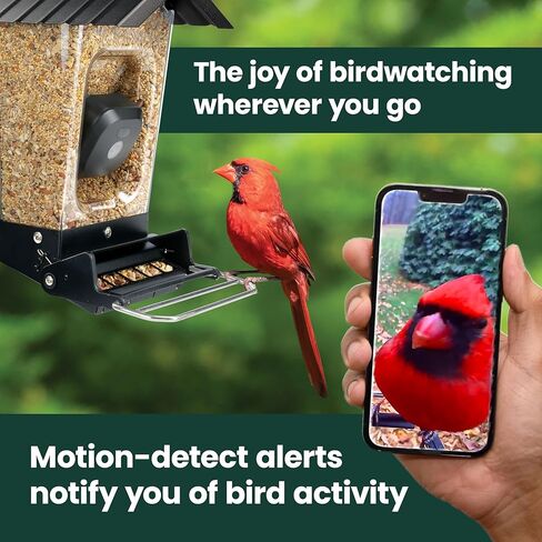 Perky-Pet Solar Powered Smart Bird Feeder with Camera - Squirrel-Resistant, 3.2L Capacity, Motion Activated 1080p HD WiFi Live Stream Camera, SPCAM, SPCAMSLR - Camera Feeder Gift Idea, Forest Green in Saudi Arabia