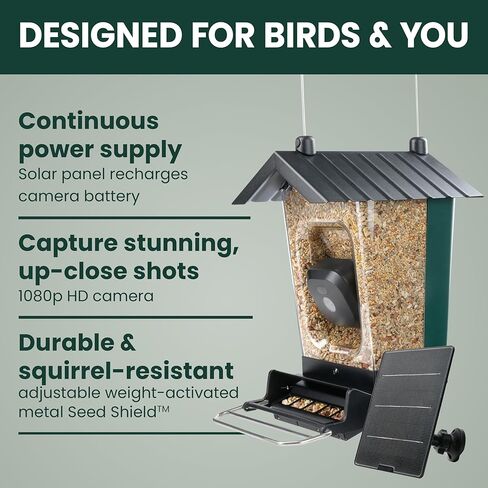 Perky-Pet Solar Powered Smart Bird Feeder with Camera - Squirrel-Resistant, 3.2L Capacity, Motion Activated 1080p HD WiFi Live Stream Camera, SPCAM, SPCAMSLR - Camera Feeder Gift Idea, Forest Green in Saudi Arabia
