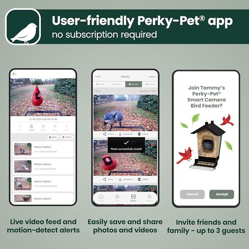 Perky-Pet Solar Powered Smart Bird Feeder with Camera - Squirrel-Resistant, 3.2L Capacity, Motion Activated 1080p HD WiFi Live Stream Camera, SPCAM, SPCAMSLR - Camera Feeder Gift Idea, Forest Green in Saudi Arabia