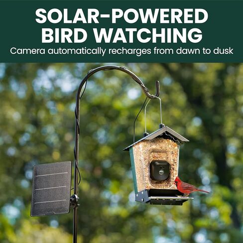 Perky-Pet Solar Powered Smart Bird Feeder with Camera - Squirrel-Resistant, 3.2L Capacity, Motion Activated 1080p HD WiFi Live Stream Camera, SPCAM, SPCAMSLR - Camera Feeder Gift Idea, Forest Green in Saudi Arabia