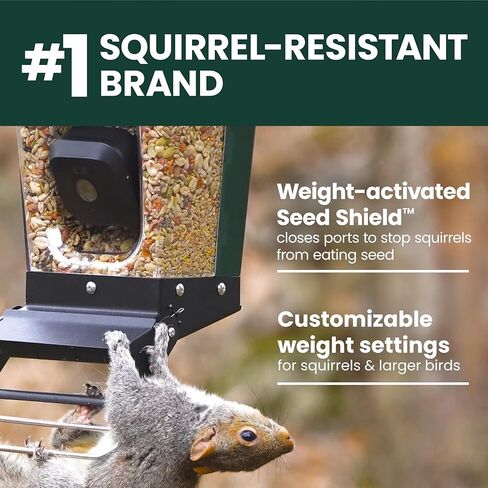 Perky-Pet Solar Powered Smart Bird Feeder with Camera - Squirrel-Resistant, 3.2L Capacity, Motion Activated 1080p HD WiFi Live Stream Camera, SPCAM, SPCAMSLR - Camera Feeder Gift Idea, Forest Green in Saudi Arabia