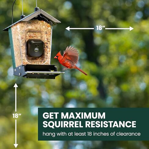 Perky-Pet Solar Powered Smart Bird Feeder with Camera - Squirrel-Resistant, 3.2L Capacity, Motion Activated 1080p HD WiFi Live Stream Camera, SPCAM, SPCAMSLR - Camera Feeder Gift Idea, Forest Green in Saudi Arabia