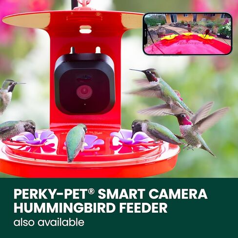 Perky-Pet Solar Powered Smart Bird Feeder with Camera - Squirrel-Resistant, 3.2L Capacity, Motion Activated 1080p HD WiFi Live Stream Camera, SPCAM, SPCAMSLR - Camera Feeder Gift Idea, Forest Green in Saudi Arabia