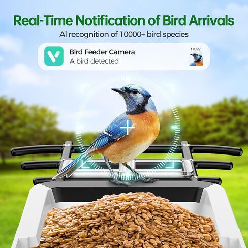 Smart Bird Feeder with Camera - 2K HD Live View, AI Identification & Instant Alerts, Weatherproof for Outdoors, 2.4GHz WiFi Solar Powered Smart Feeder for Bird Lovers in Saudi Arabia