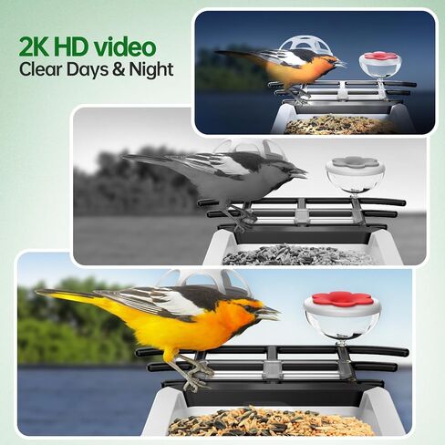 Smart Bird Feeder with Camera - 2K HD Live View, AI Identification & Instant Alerts, Weatherproof for Outdoors, 2.4GHz WiFi Solar Powered Smart Feeder for Bird Lovers in Saudi Arabia
