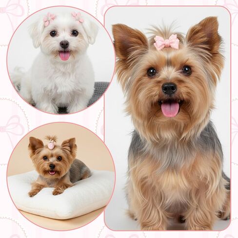 20 Pcs Dog Hair Bows Light Pink Small Rubber Bands Cute Elastic Puppy Bows Cute Grooming Flower Bowknot Mix Style for Dog Hair Accessories for Yorkie Shih tzu in Saudi Arabia