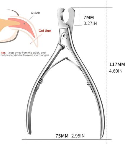 Pet Nail Clippers for Dogs & Cats – Sharp, Durable Blades with Beginner-Friendly, Hygienic Design for Small Pets Paw Care, Large Dog Nail Trimmer,Ergonomic Grooming Tool for Safe Pet Grooming in Saudi Arabia