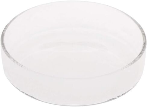 Youngy Arrival Fish Tank Feeder Aquarium Shrimp Glass Feeding Bowl Dish Tray 6 Size - D in Saudi Arabia