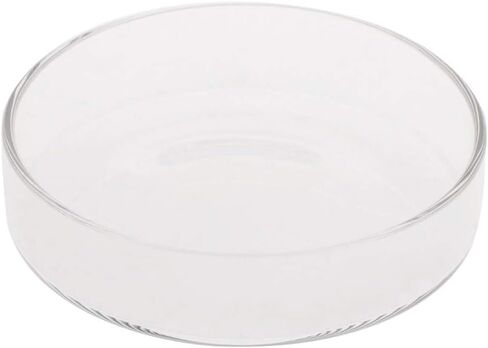 Youngy Arrival Fish Tank Feeder Aquarium Shrimp Glass Feeding Bowl Dish Tray 6 Size - D in Saudi Arabia