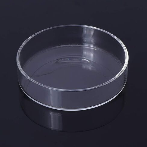 Youngy Arrival Fish Tank Feeder Aquarium Shrimp Glass Feeding Bowl Dish Tray 6 Size - D in Saudi Arabia
