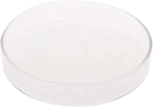 Youngy Arrival Fish Tank Feeder Aquarium Shrimp Glass Feeding Bowl Dish Tray 6 Size - D in Saudi Arabia