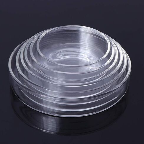 Youngy Arrival Fish Tank Feeder Aquarium Shrimp Glass Feeding Bowl Dish Tray 6 Size - D in Saudi Arabia