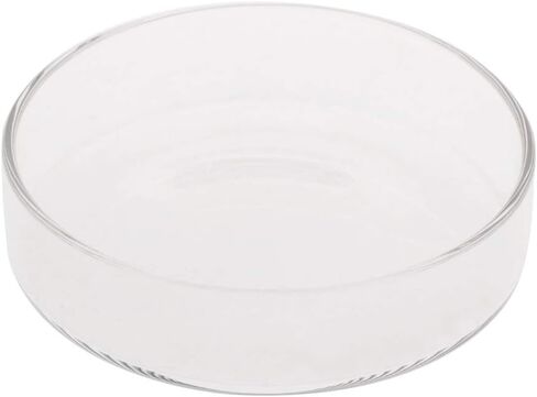 Youngy Arrival Fish Tank Feeder Aquarium Shrimp Glass Feeding Bowl Dish Tray 6 Size - D in Saudi Arabia