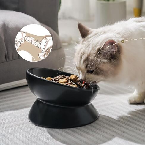 YINGFAN Cat Bowls Ceramic Elevated Cat Bowls with Tilted Design Anti Vomiting Raised Bowl for Indoor Cats (Black, 5oz) in Saudi Arabia