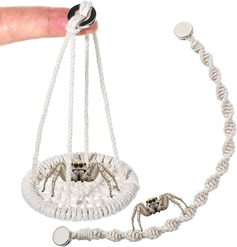 2 PCS Jumping Spider Rope Bridge Swings, Magnetic Mounting Jumping Spiders Climbing Rope, Braided Spider Twine Ladders Accessories for Pet Tiny Animals Enclosure Decorations in Kuwait