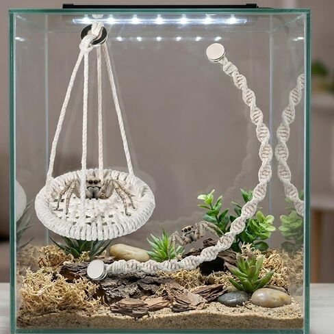 2 PCS Jumping Spider Rope Bridge Swings, Magnetic Mounting Jumping Spiders Climbing Rope, Braided Spider Twine Ladders Accessories for Pet Tiny Animals Enclosure Decorations in Kuwait