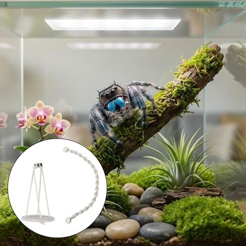 2 PCS Jumping Spider Rope Bridge Swings, Magnetic Mounting Jumping Spiders Climbing Rope, Braided Spider Twine Ladders Accessories for Pet Tiny Animals Enclosure Decorations in Kuwait