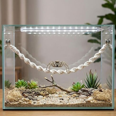 2 PCS Jumping Spider Rope Bridge Swings, Magnetic Mounting Jumping Spiders Climbing Rope, Braided Spider Twine Ladders Accessories for Pet Tiny Animals Enclosure Decorations in Kuwait