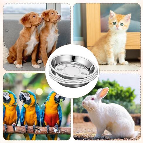 Giantree 24 Pcs Shallow Wide Stainless Steel Cat Bowls, Whisker Fatigue Relief Metal Pet Dishes Cat Food Feeding Plates Replacement for Small Dogs Cats and Other Small Animals in Saudi Arabia