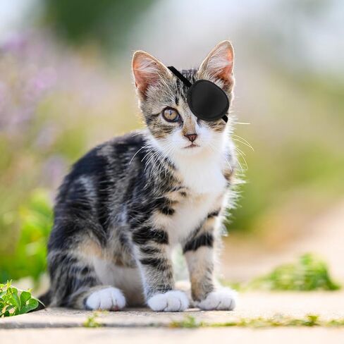 رقعة عين الكلب، غطاء حماية للعين للكلاب والقطط الصغيرة قابل للتعديل للإصابات وجروح العمليات الجراحية (2) in Kuwait