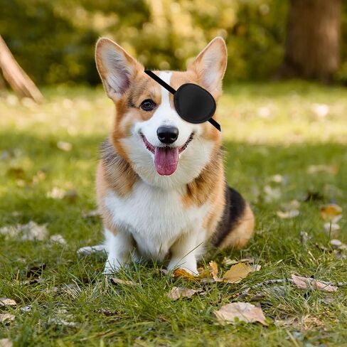 رقعة عين الكلب، غطاء حماية للعين للكلاب والقطط الصغيرة قابل للتعديل للإصابات وجروح العمليات الجراحية (2) in Kuwait