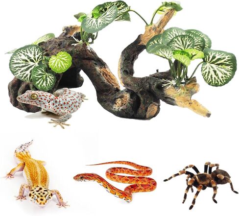 PINVNBY Branches for Reptiles,Crested Gecko Resin Climbing Tree Branch with Hideout Cave Bearded Dragon Tank Accessories Lizard Terrarium Habitat Plant Decorations for Snake Gecko Spider Frog(Green) in Kuwait