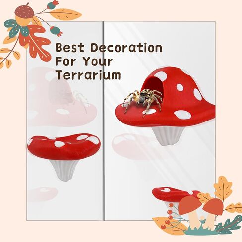 3 Pcs Jumping Spider Enclosure Accessories with 2 Spider Webs Jumping Spider Mushroom Platforms Magnetic Mounting Jumping Spider Accessories for Jumping Climbing Resting Exploration in Saudi Arabia