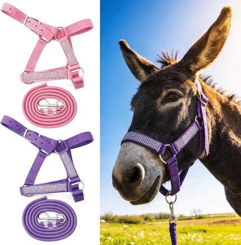 2 Set Miniature Donkey Halter with Lead Ropes, Cute and Stylish Adjustable Purple & Pink Nylon Head Collar Set for Miniature Donkeys in Saudi Arabia