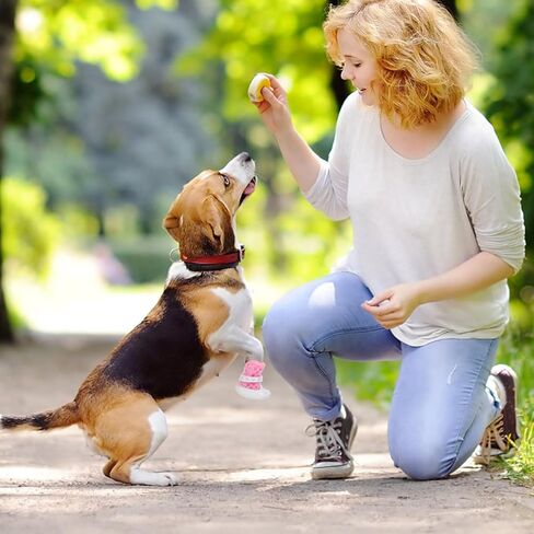 أحذية للكلاب والجوارب غير قابلة للانزلاق شبكة قابلة للتنفس مقاس صغير حماة مخالب الورد للأنشطة الخارجية للرصيف الساخن الجراء in Kuwait