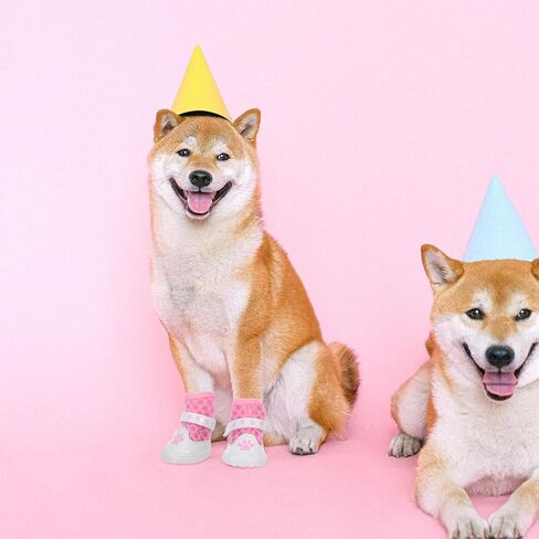 أحذية للكلاب والجوارب غير قابلة للانزلاق شبكة قابلة للتنفس مقاس صغير حماة مخالب الورد للأنشطة الخارجية للرصيف الساخن الجراء in Kuwait