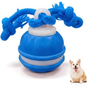 Zealburst Interactive Dog Toy Ball, 2026 Upgraded Motion Activated Rolling Ball with Squeaky Sounds, 360° Smart Automatic Moving Toy for Bored Cats & Dogs, Indoor & Outdoor Pet Exercise Toy (Blue) in Saudi Arabia
