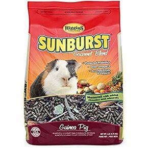 هيغنز أمة الله خنزير غينيا 6 رطل in Kuwait