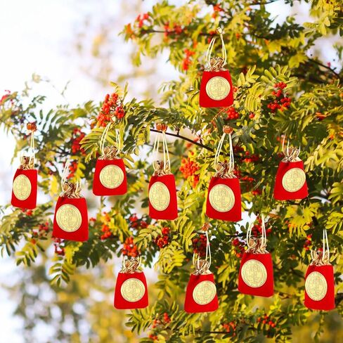 Kigeli 20 Pcs Chinese New Year Coins 2026 Lunar New Year of the Horse Commemorative Coins Zodiac with Red Drawstring Bags Gold Foil Decor Coin for Party Spring Festival Gifts, Lucky Feng Shui Supplies in Saudi Arabia