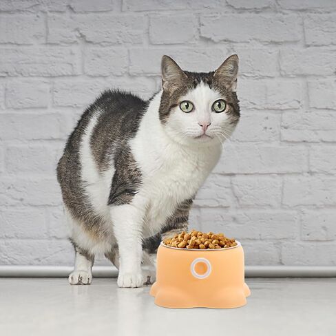 TOYANDONA Stainless Steel Pet Bowl Octopus Shape Anti-Spill Non-Tipping Small Dog Water Bowl Portable Indoor Outdoor Cat Feeding Dish in Saudi Arabia