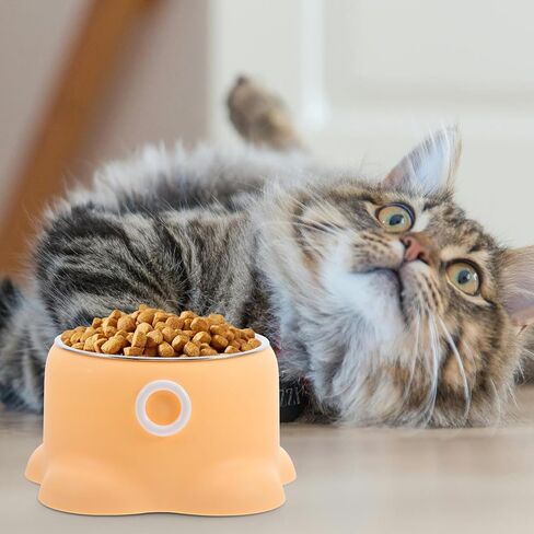 TOYANDONA Stainless Steel Pet Bowl Octopus Shape Anti-Spill Non-Tipping Small Dog Water Bowl Portable Indoor Outdoor Cat Feeding Dish in Saudi Arabia