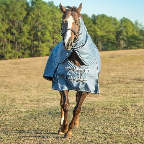 Jeffers Poplar Head Refuge 1200 Denier Turnout Blanket, Hamilton Blue, 75" – Waterproof & Breathable Horse Blanket, 240g Insulation, Adjustable Fit for Comfort & Safe Use, Durable Design in Kuwait