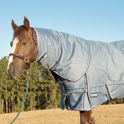 Jeffers Poplar Head Refuge 1200 Denier Turnout Blanket, Hamilton Blue, 75" – Waterproof & Breathable Horse Blanket, 240g Insulation, Adjustable Fit for Comfort & Safe Use, Durable Design in Kuwait