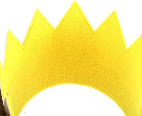 4 Pcs Wild One Crowns Tails Cake Smash Things King of the Jungle Headbands for Halloween Costume Party Supplies in Saudi Arabia