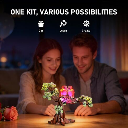 مجموعة إضاءة BRIKSMAX 2.0 متوافقة مع مجموعات بناء Lego Ideas Love Birds 21365 - مجموعات إضاءة LED الأصلية (الملحقات فقط) للعرض، هدية وهواة جمع الهدايا المثالية لعيد الحب in Saudi Arabia